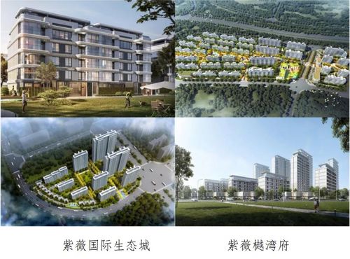 2021年陕西本土国有房地产企业销售业绩TOP10
